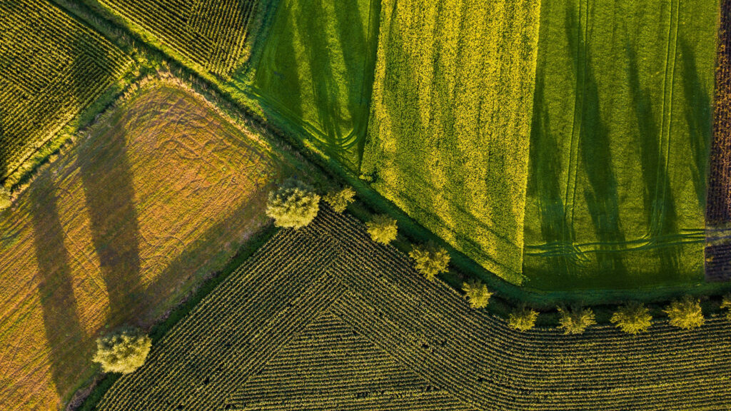 The New Foodbytes: Rabobank’s Innovation Arm Announces Evolution
