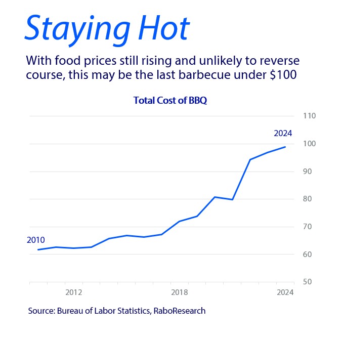 Total Cost of BBQ 2010 - 2024