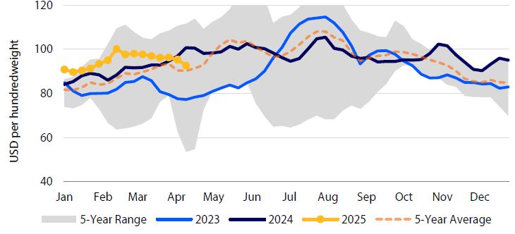 Line graph of U.S. pork cutout values (Jan 2023–Apr 2025) in USD/cwt, showing 2023–2025 trends, 5-year range (gray), and average (orange dashed).