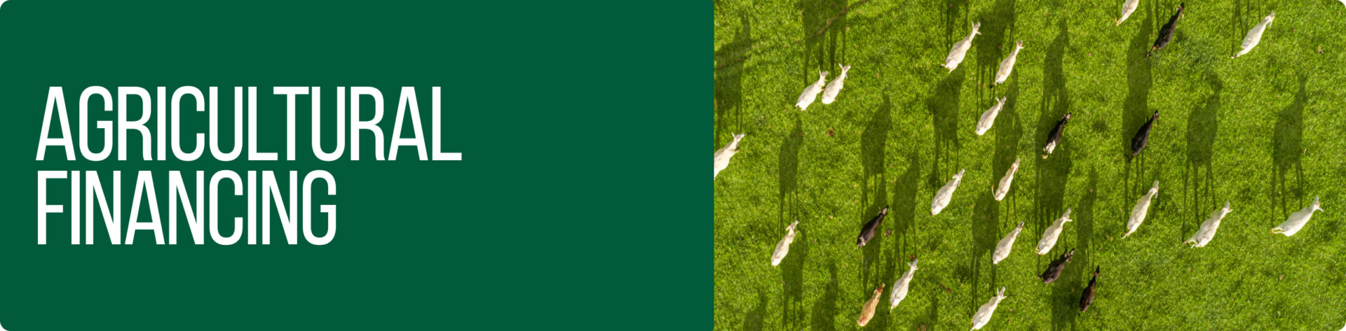 Agricultural Financing
