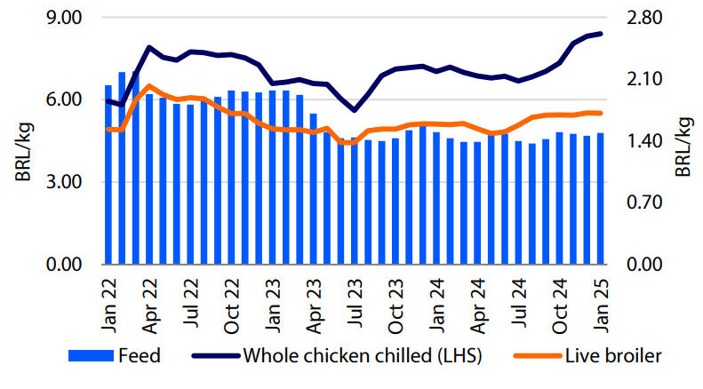 Heated demand supports appreciation of chicken prices