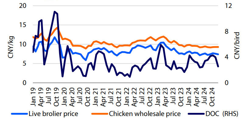 White feathered broiler prices remain pressured due to sufficient supply