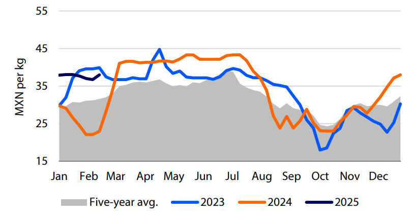 Live chicken prices could receive additional support
