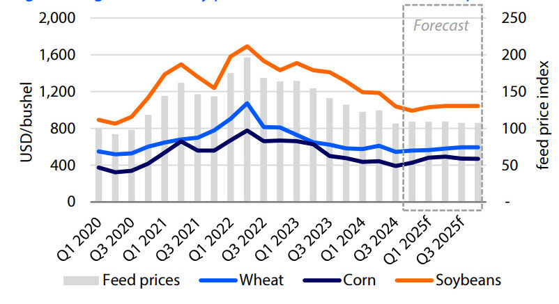 Agri commodity price outlook forecasts flat feed prices